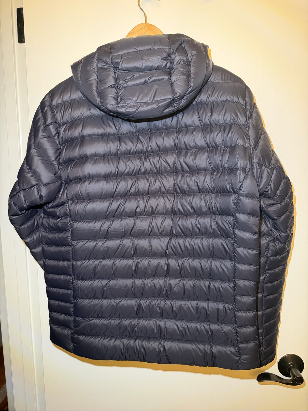 Patagonia Down Sweater Hoody - Picture 2 of 4